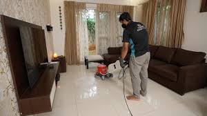 Living Room Cleaning
