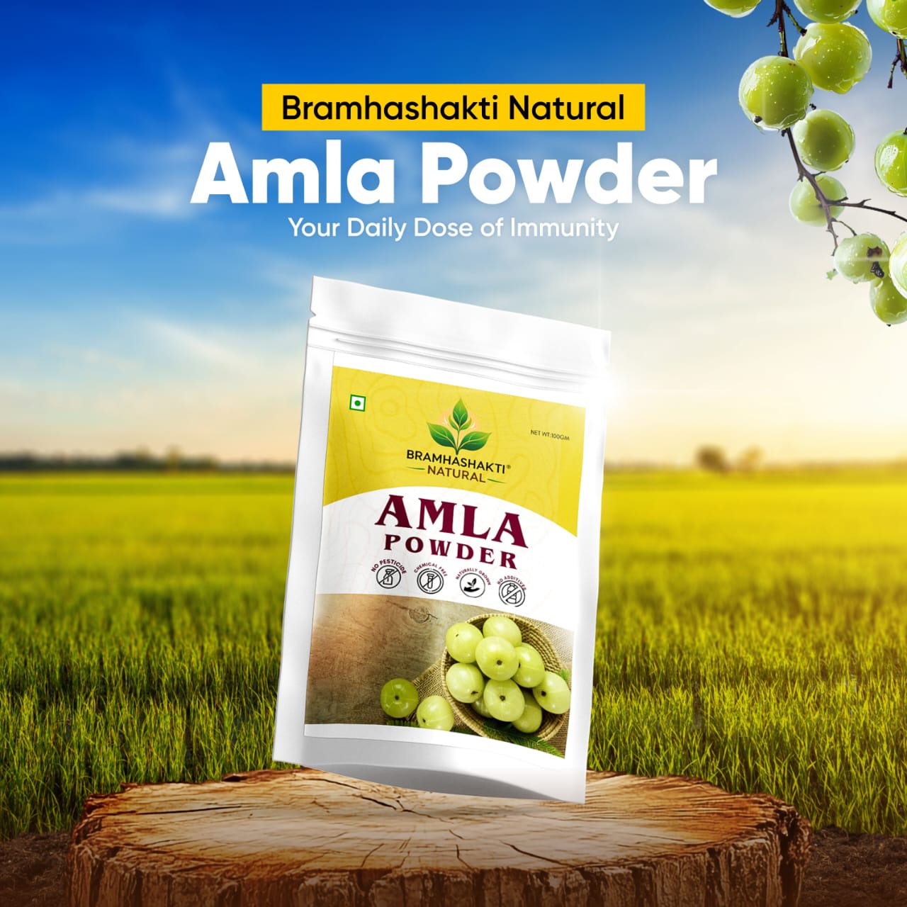 Amla Powder