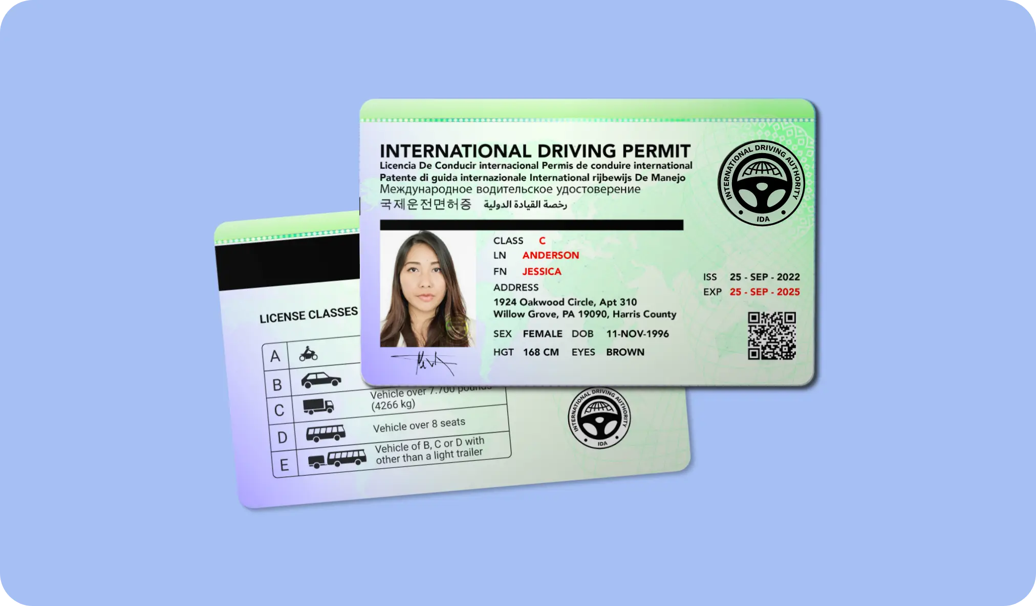 International Driving Permit (IDP)